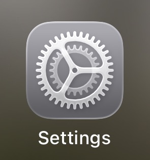 Settings app icon on iPhone home screen