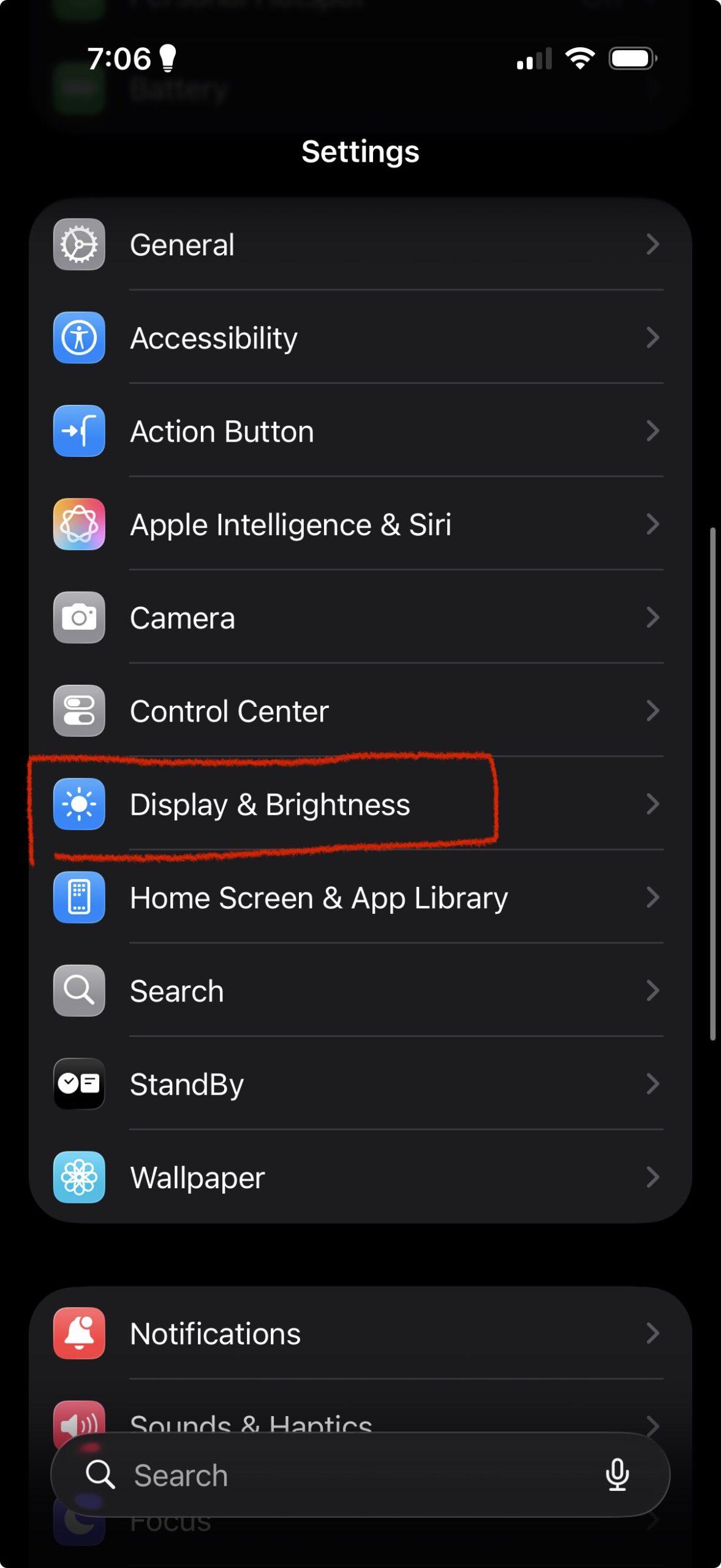 Display and Brightness settings on iPhone