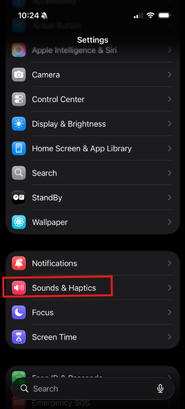 iPhone Settings menu showing Sounds and Haptics option highlighted in red