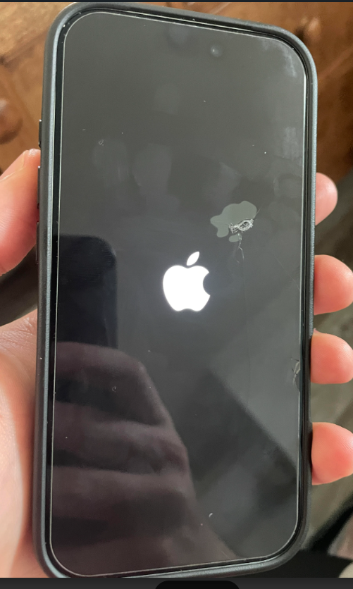 iPhone screen showing Apple logo during restart