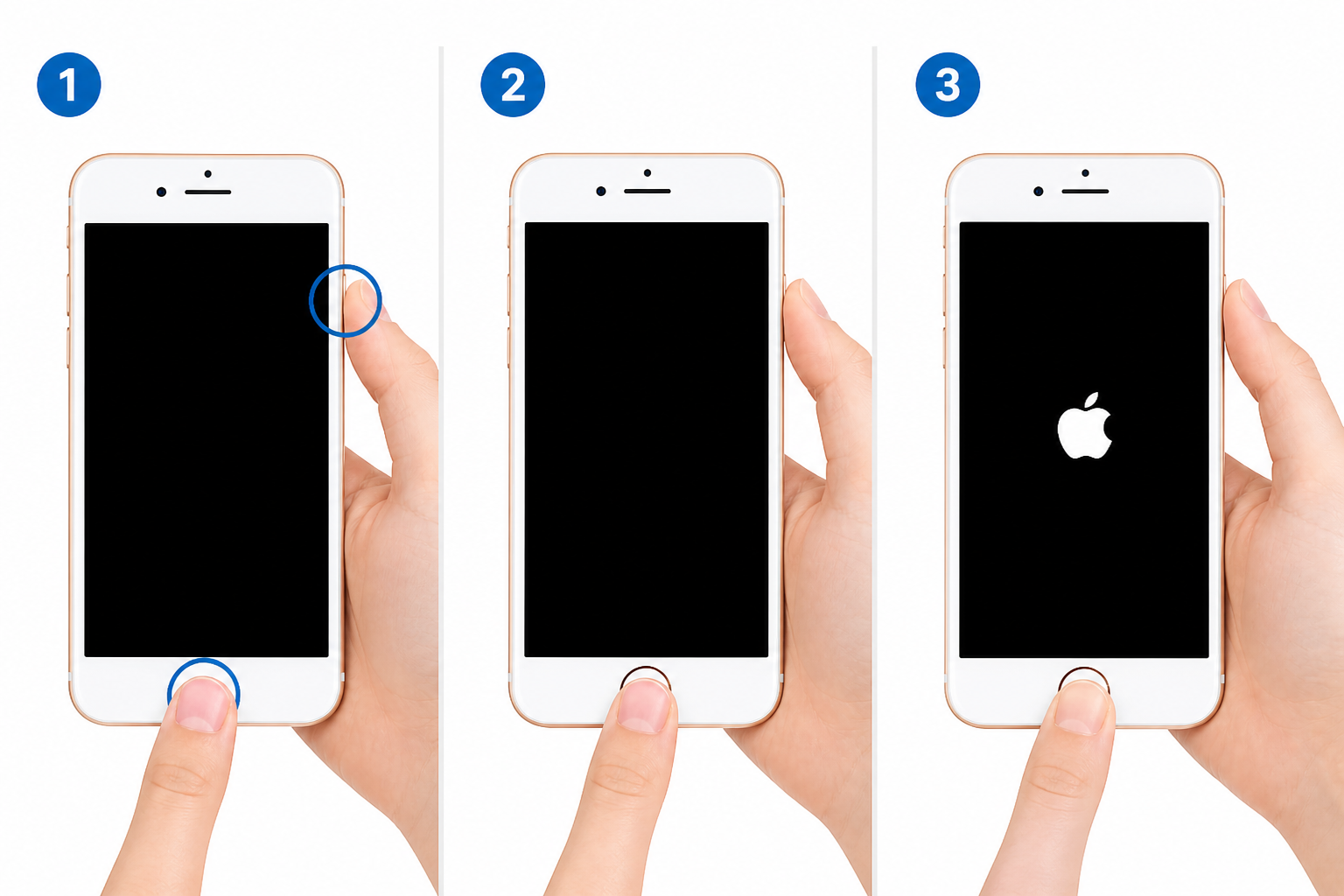 older iPhone with Home button showing how to force restart by holding side and home buttons and Apple logo appearing