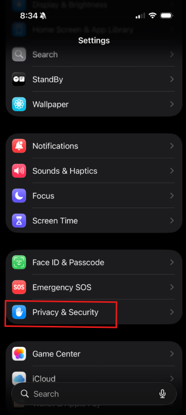 Privacy & Security Screenshot menu highlighting privacy and security