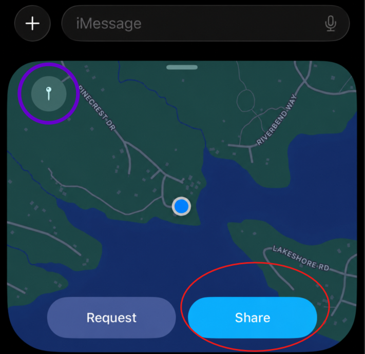 Screenshot with location share button and pin highlighted location share button and pin highlighted